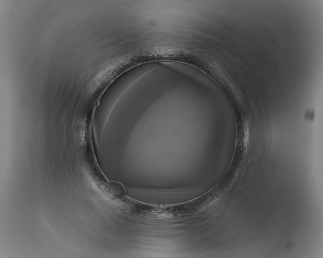 X0000113250640200909241612