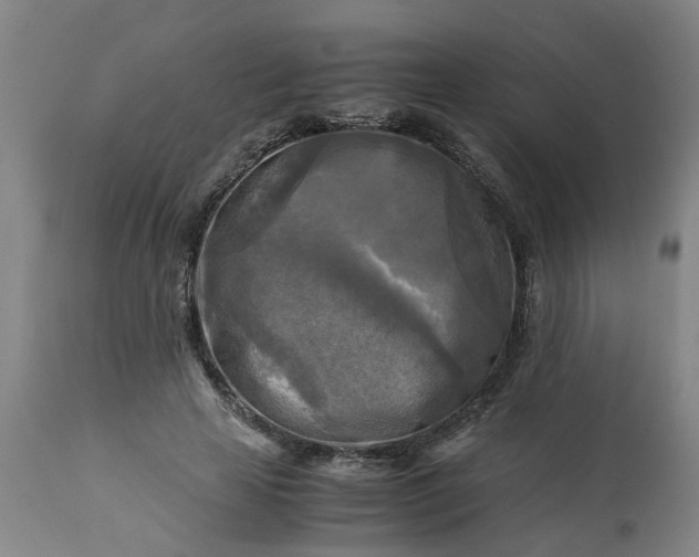 X0000113250641200909241612