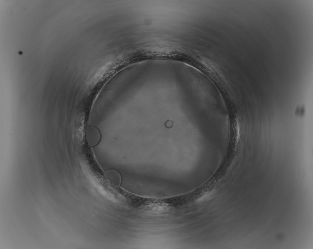 X0000113250642200909241612