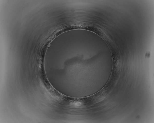 X0000113250643200909241612