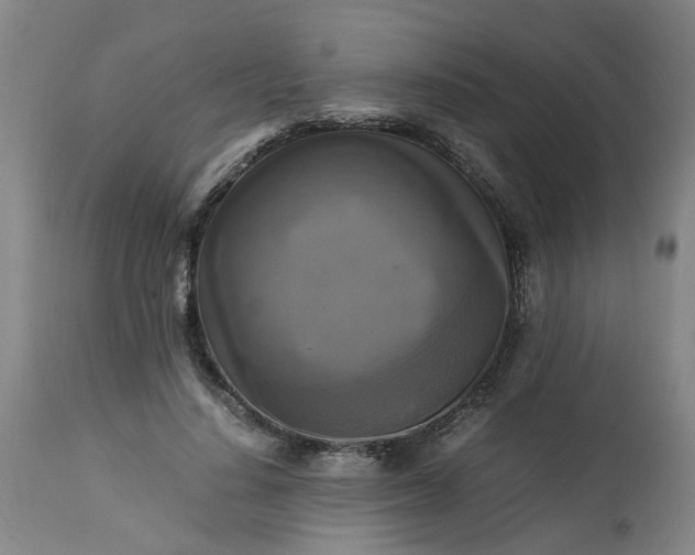 X0000113250644200909241612