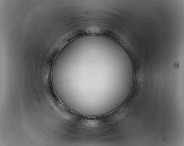 X0000113250645200909241612