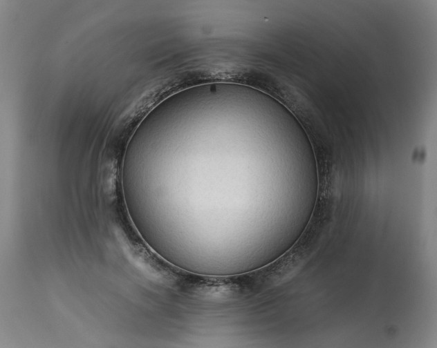 X0000113250646200909241612