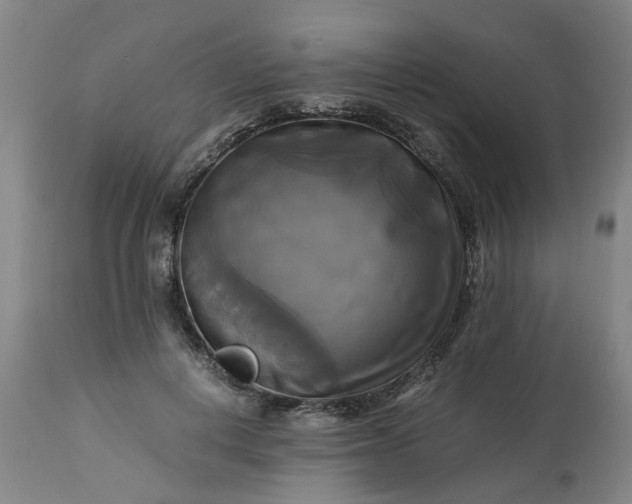 X0000113250648200909241612