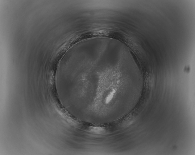 X0000113250649200909241612