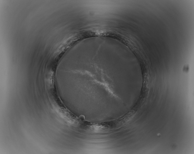 X0000113250650200909241612