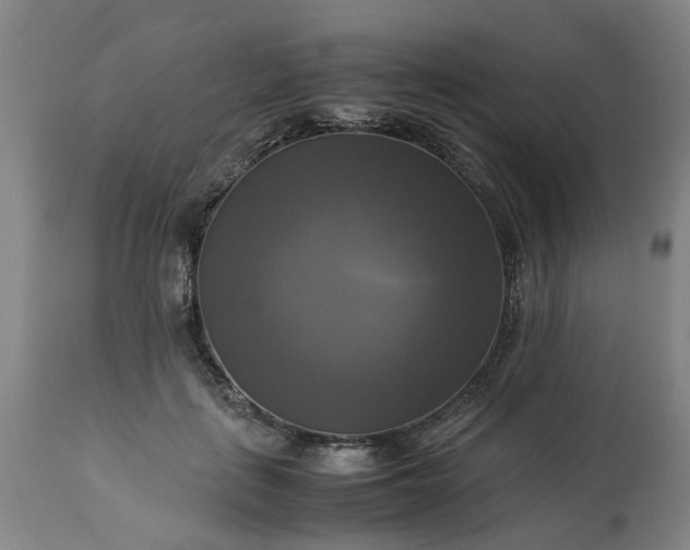 X0000113250651200909241612