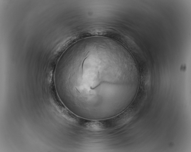 X0000113250652200909241612