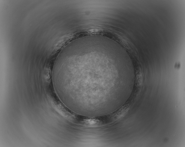 X0000113250654200909241612