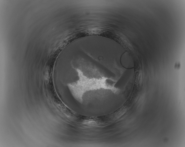 X0000113250655200909241612