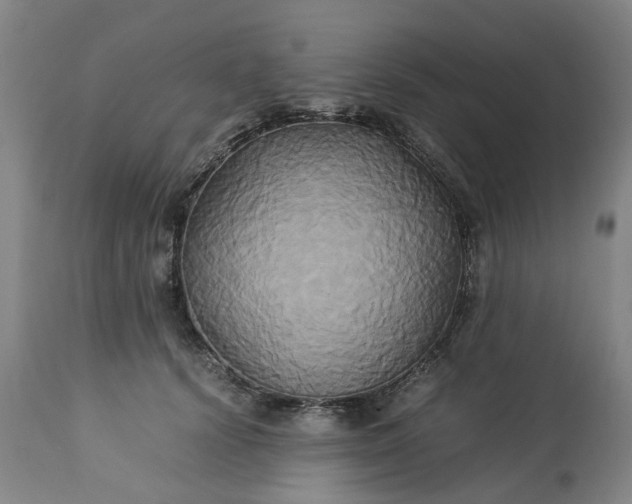 X0000113250656200909241612