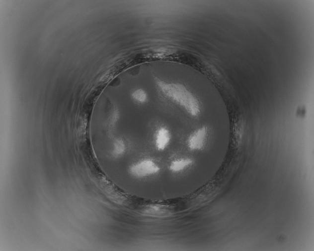 X0000113250657200909241612