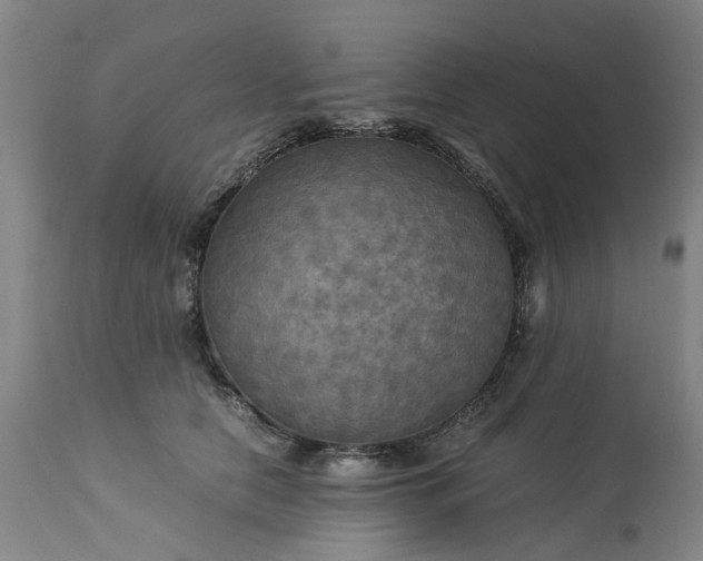 X0000113250658200909241612