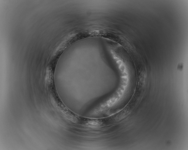 X0000113250659200909241612