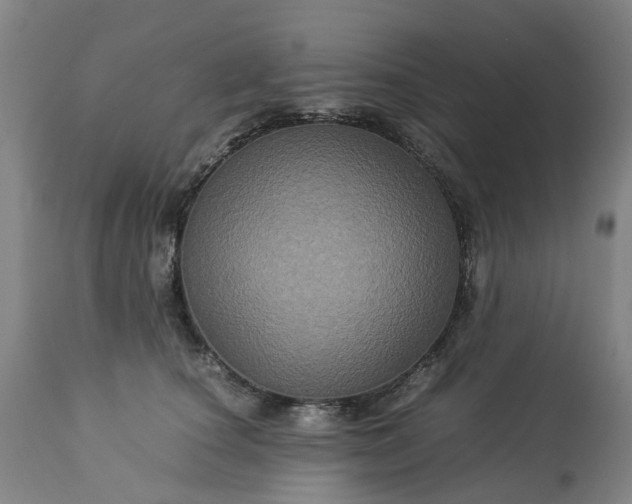 X0000113250660200909241612