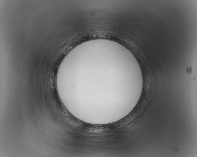 X0000113250661200909241612