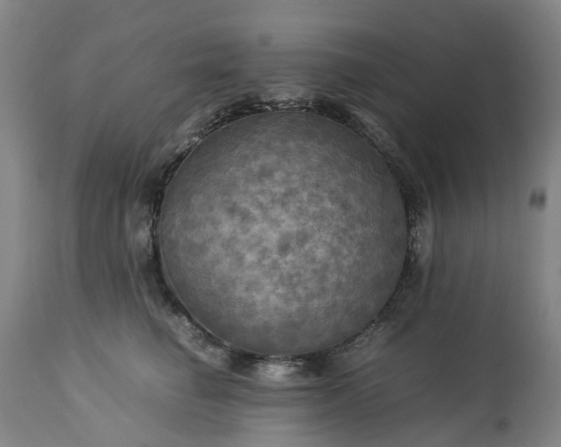 X0000113250662200909241612