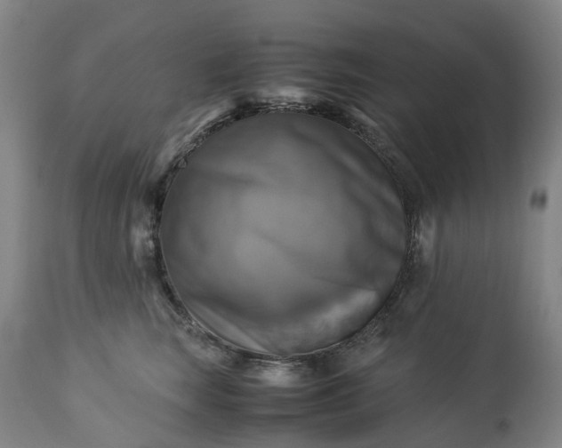 X0000113250663200909241612