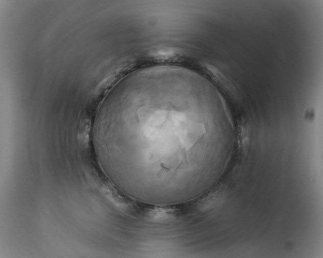 X0000113250664200909241612