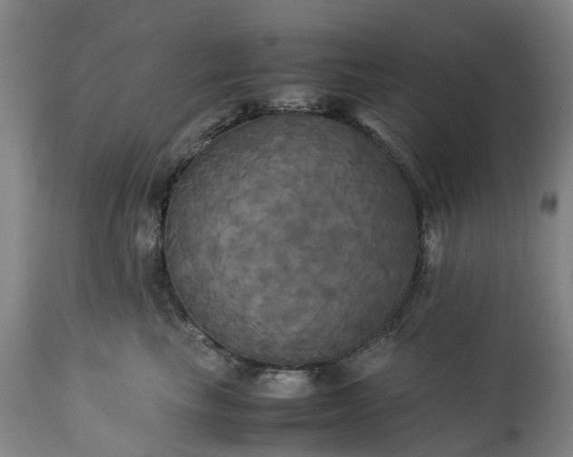 X0000113250665200909241612