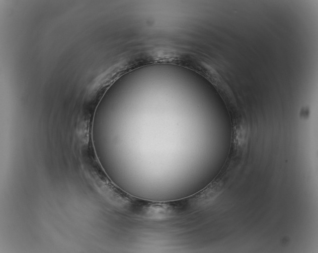 X0000113250666200909241613