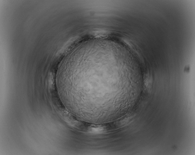 X0000113250667200909241613