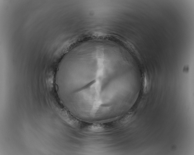 X0000113250668200909241613