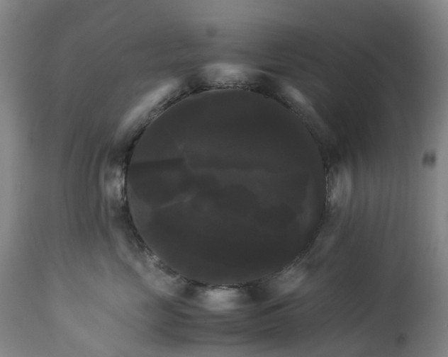 X0000113250669200909241613