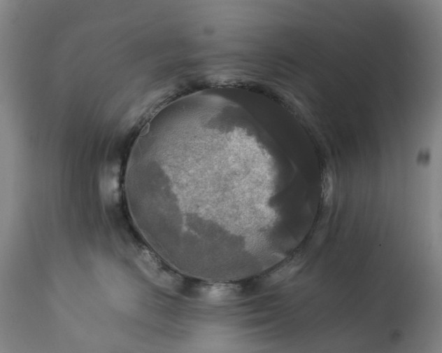 X0000113250670200909241613