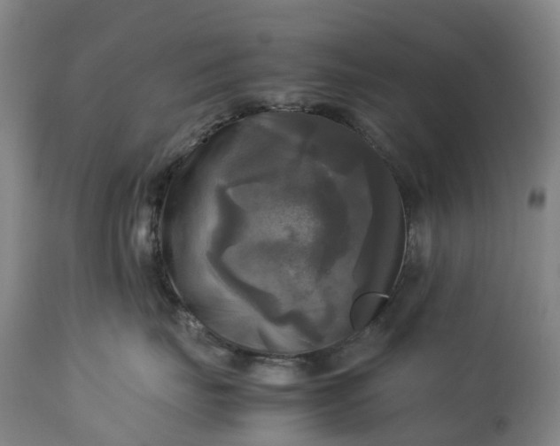 X0000113250671200909241613