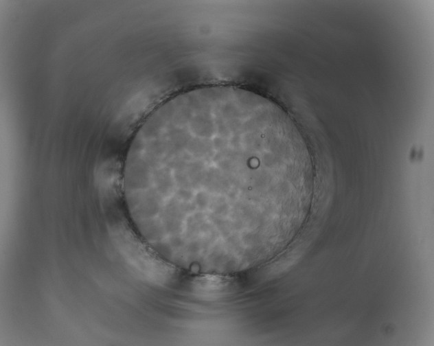 X0000113250672200909241613