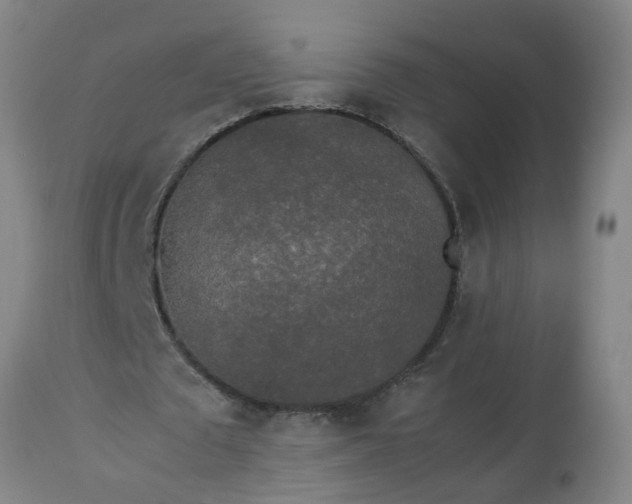 X0000113250673200909241612