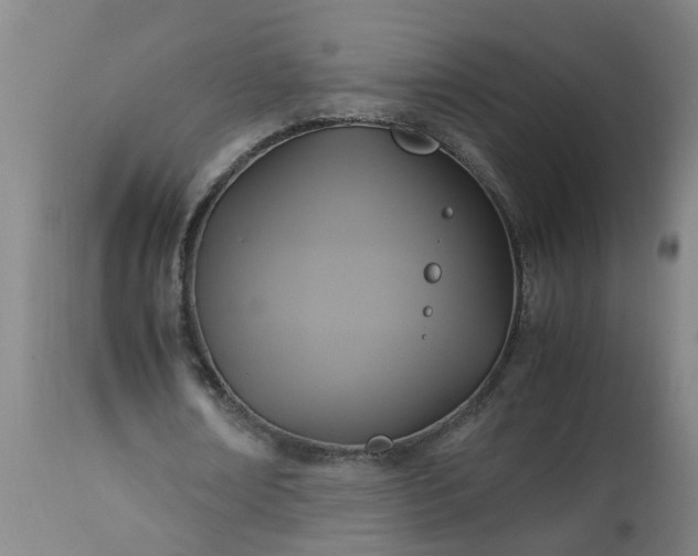 X0000113250674200909241612