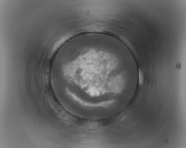 X0000113250675200909241612