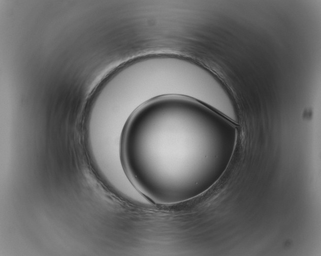 X0000113250676200909241612