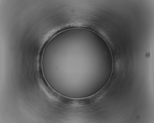 X0000113250678200909241612