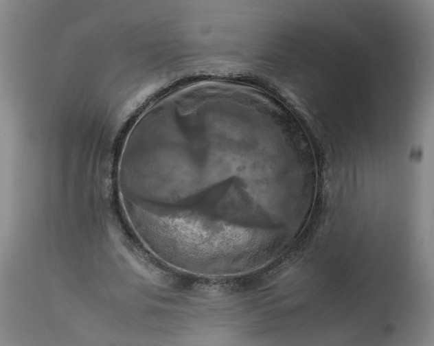 X0000113250679200909241612