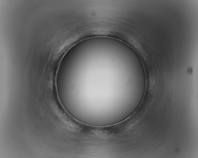 X0000113250681200909241612