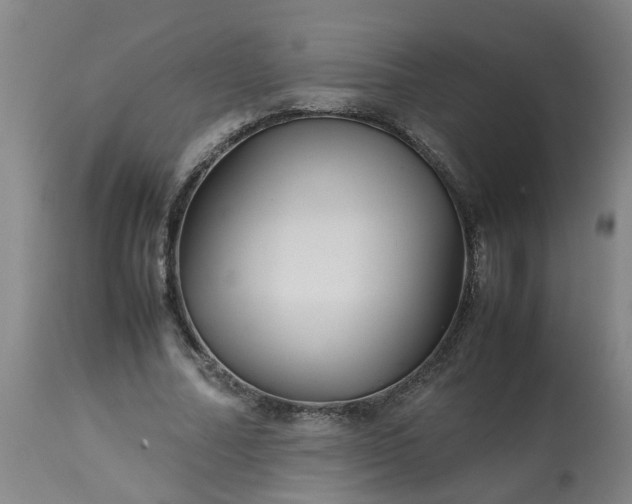 X0000113250682200909241612