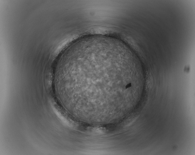 X0000113250683200909241612