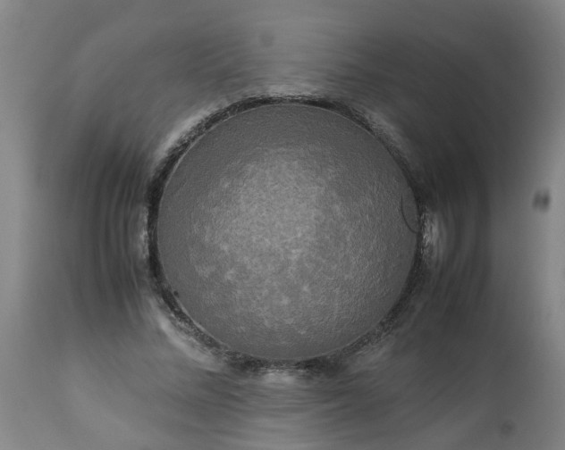 X0000113250684200909241612