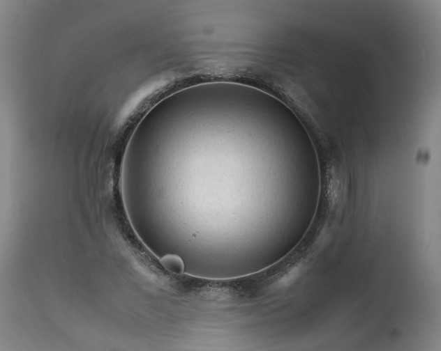 X0000113250685200909241612