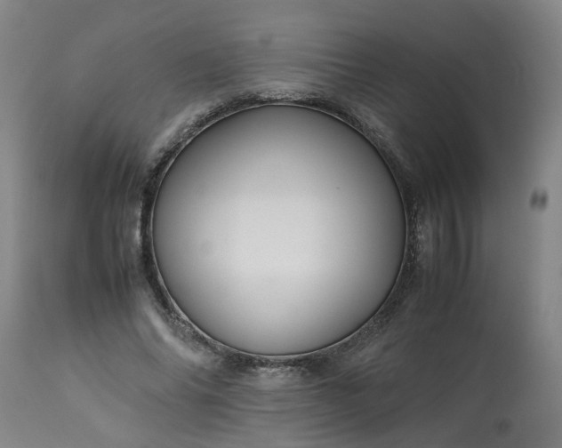 X0000113250686200909241612