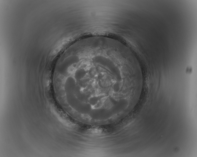 X0000113250687200909241612