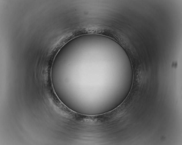 X0000113250690200909241612