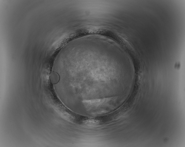 X0000113250691200909241612