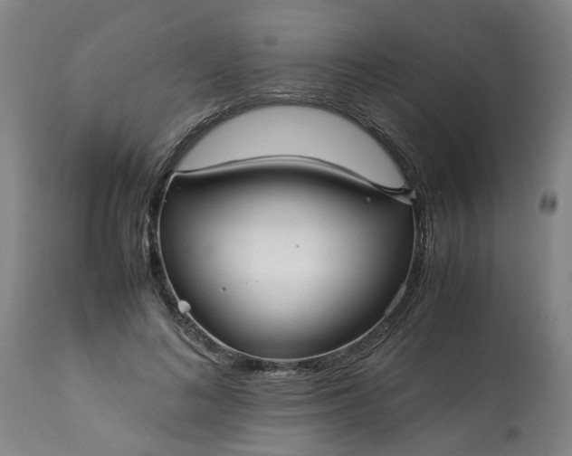 X0000113250692200909241612