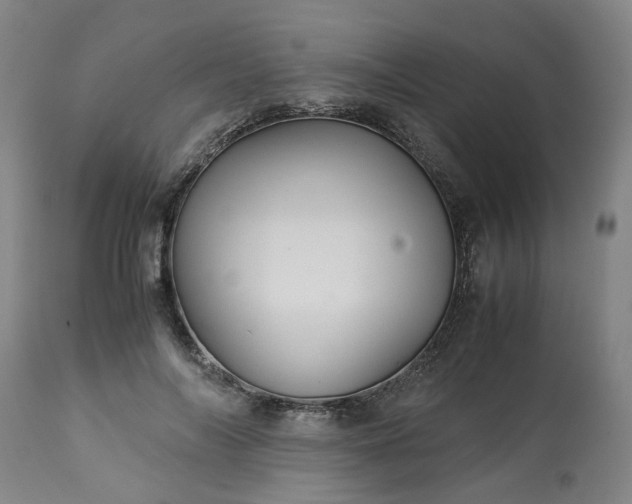 X0000113250694200909241612