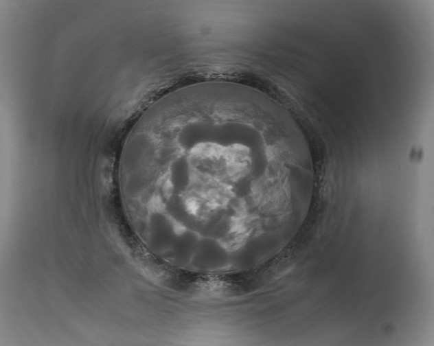 X0000113250695200909241612