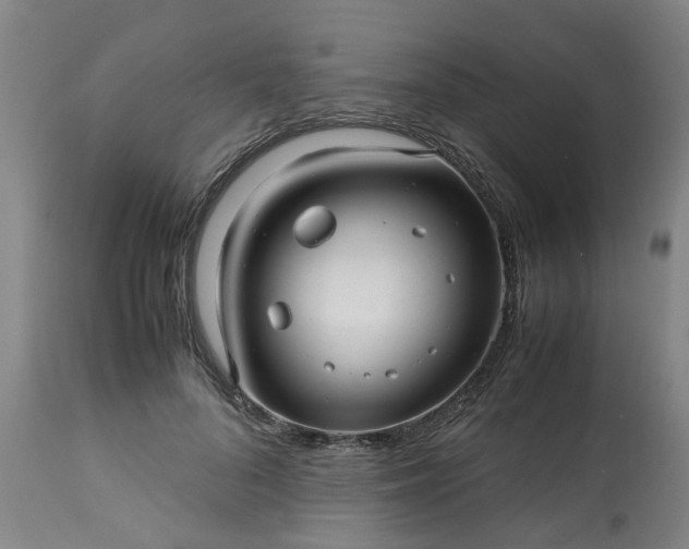 X0000113250696200909241612